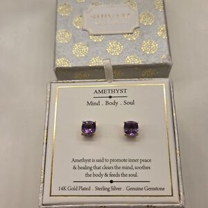 Shivam Amethyst Earrings - Purple and Silver